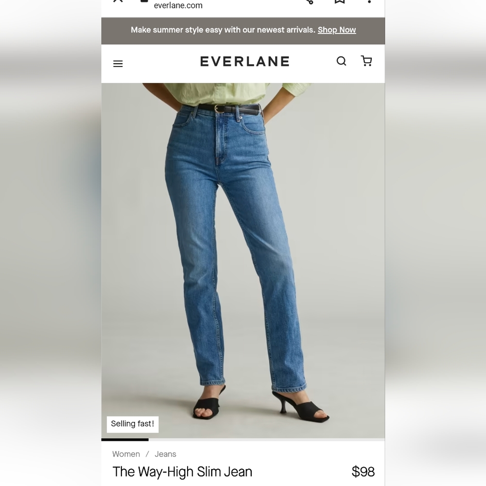 Everlane Way High Slim Jean